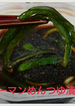 ピーマンのめんつゆ漬け！お弁当にも！-レシピのメイン写真