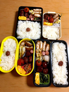 お弁当 記録用-レシピのメイン写真