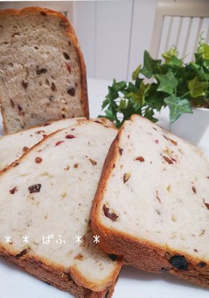 ホームベーカリーでラムレーズンの食パン-レシピのメイン写真