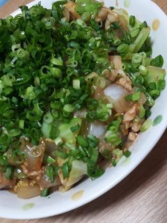 キャベツと豚肉の味噌炒め-レシピのメイン写真