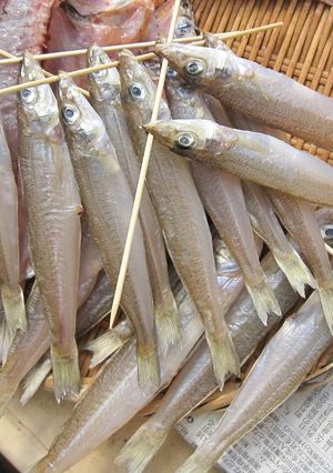 キスの干物-レシピのメイン写真