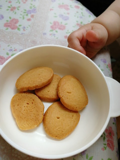 子供も大好き甘さ控えめボリボリクッキー-レシピのメイン写真