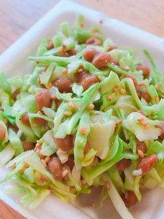 千切りキャベツ納豆和え-レシピのメイン写真