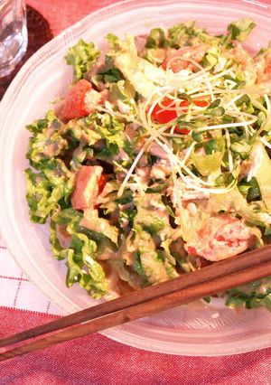 手作りゴマダレのサラダうどん-レシピのメイン写真
