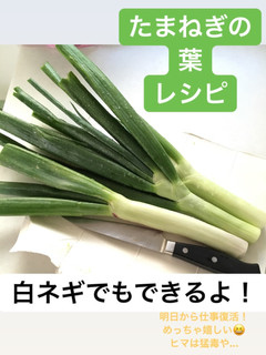 葉タマネギの辛味噌 (大量消費)-レシピのメイン写真