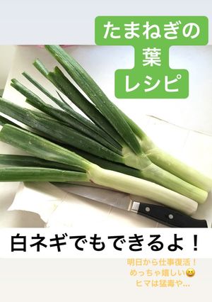 葉タマネギの辛味噌 (大量消費)-レシピのメイン写真