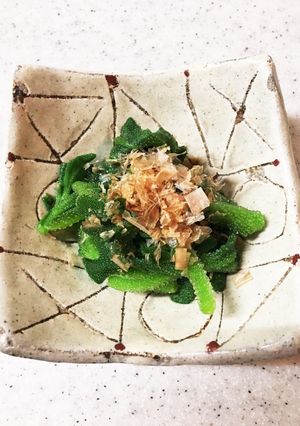 アイスプラントのお浸し 5分-レシピのメイン写真