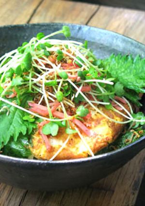 パリパリじゃこのチーズチジミ丼-レシピのメイン写真