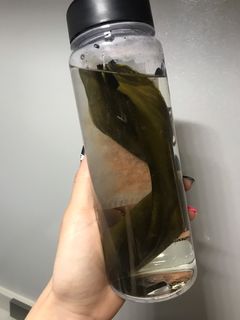 離乳食にも☆簡単合わせ出汁-レシピのメイン写真