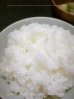 ふっくら美味*おいしいご飯のよそい方-レシピのメイン写真