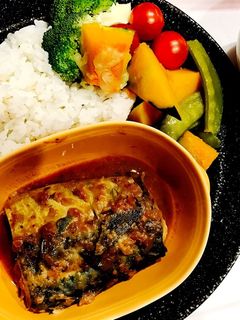 レンジでサバの味噌煮-レシピのメイン写真