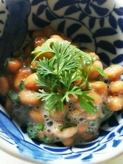 パクチー納豆-レシピのメイン写真