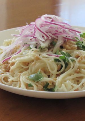 ひきわり納豆とヨーグルトでそうめん-レシピのメイン写真