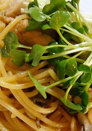 簡単変わりパスタ＊＾＾＊-レシピのメイン写真