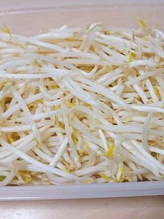 もやしの長持ち保存法-レシピのメイン写真