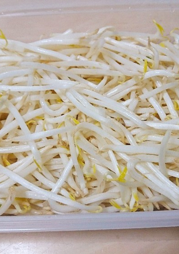 もやしの長持ち保存法-レシピのメイン写真