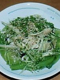 蒸し鶏のヘルシーサラダ-レシピのメイン写真