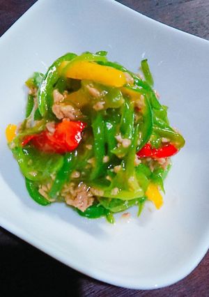 ピーマンのひき肉炒め★-レシピのメイン写真