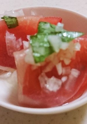 トマトと新玉ねぎのカプレーゼ-レシピのメイン写真