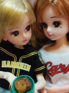 リカちゃんサイズ♡鯉の旨煮ꕤ*.゚-レシピのメイン写真