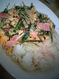 アッサリ水菜丼-レシピのメイン写真