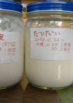 うちの自家製天然酵母種-レシピのメイン写真