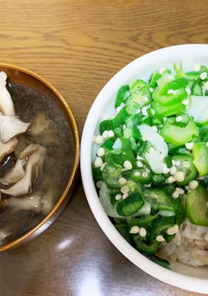 ズボラ飯-レシピのメイン写真