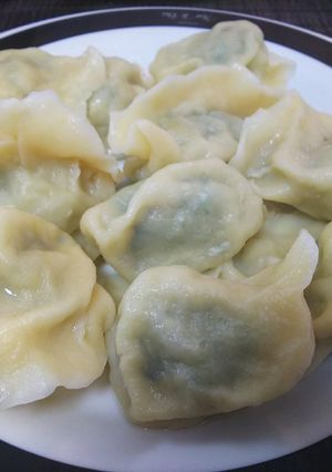 本格中華・豚肉とニラと白菜の餃子-レシピのメイン写真