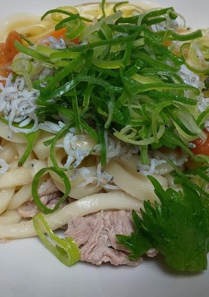 ☆ぶっかけ温うどん☆-レシピのメイン写真