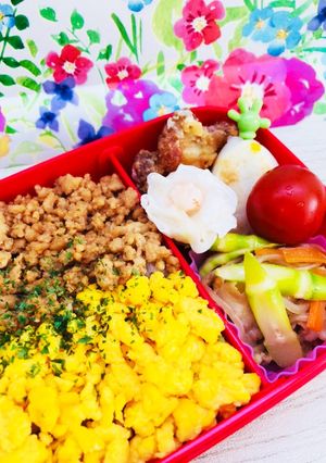 二色丼とたけのこ炒めの彩りお弁当♡-レシピのメイン写真