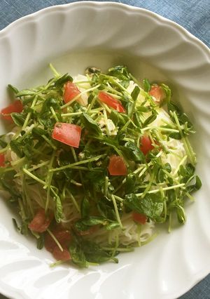 夏を乗り切る！栄養いっぱい豆苗サラダ素麺-レシピのメイン写真