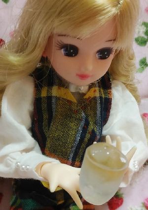 リカちゃんサイズ♡大人のアイスBOX*.-レシピのメイン写真