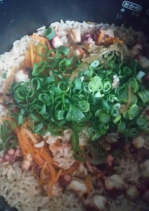 炊飯器でチョ～簡単！うまかタコ飯-レシピのメイン写真