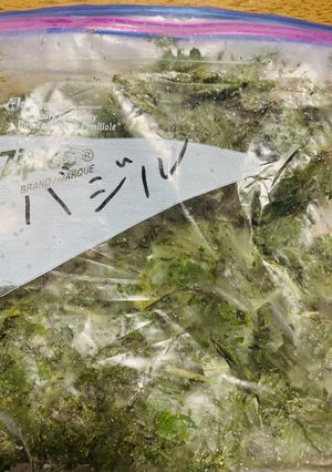 ピカールのマネ冷凍バジル-レシピのメイン写真