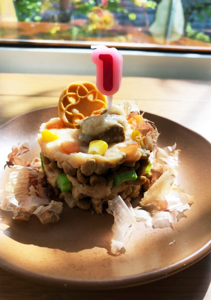 猫用ケーキ記録-レシピのメイン写真