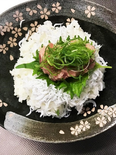 ネギトロしらす丼-レシピのメイン写真