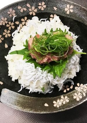 ネギトロしらす丼-レシピのメイン写真