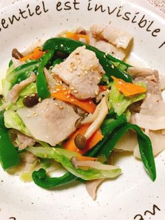 ご飯が進む!塩ダレの豚バラ肉野菜炒め☆☆-レシピのメイン写真