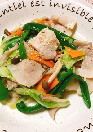 ご飯が進む！塩ダレの豚バラ肉野菜炒め☆☆-レシピのメイン写真