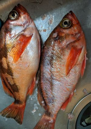 簡単!魚のうろこの取り方-レシピのメイン写真