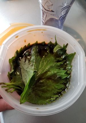 簡単、おいしい紫蘇の醤油漬け!-レシピのメイン写真