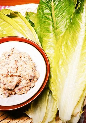 簡単！ロメインレタスの鯖味噌缶マヨ添え♪-レシピのメイン写真