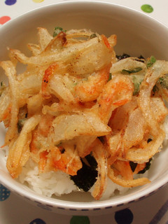 塩だれde桜海老と新玉ねぎのかき揚げ丼-レシピのメイン写真