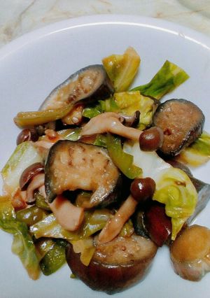 オイスターソース野菜炒め-レシピのメイン写真