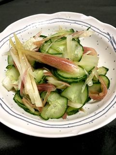 梅酢の胡瓜と茗荷の和え物-レシピのメイン写真