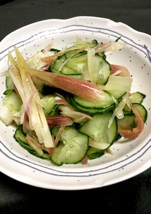 梅酢の胡瓜と茗荷の和え物-レシピのメイン写真