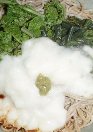 ワラビとコゴミ♪残雪の大地のお蕎麦♪-レシピのメイン写真