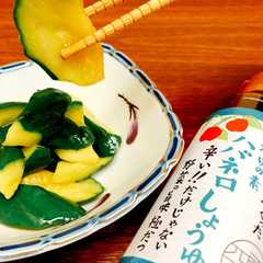 大人のきゅうり浅漬け-レシピのメイン写真