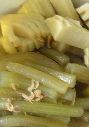 【春の旬を食べよう】フキとタケノコの煮物-レシピのメイン写真