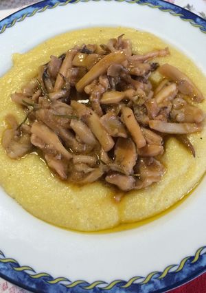 イタリア風イカの煮物-レシピのメイン写真